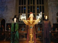 Harry Potter009