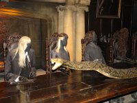 Harry Potter056