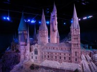 Harry Potter098