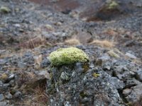 Iceland663