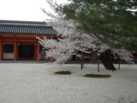 Japan1114