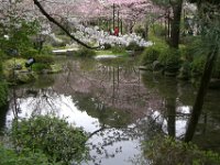 Japan1126