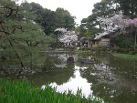 Japan1137