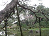Japan1138