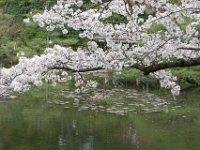 Japan1145