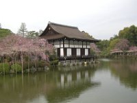 Japan1153