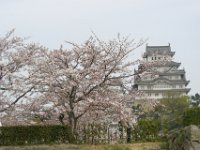 Japan1171