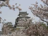 Japan1178