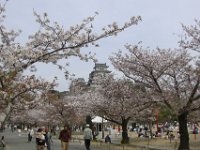 Japan1179