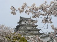 Japan1182