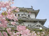Japan1222