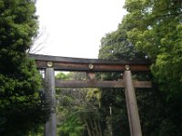 Japan176