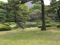 Japan191