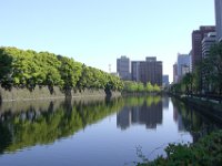 Japan247
