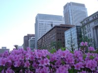 Japan248