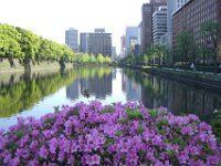 Japan249