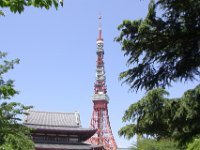 Japan296