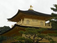 Japan381