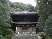 Japan462