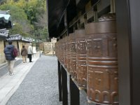 Japan504