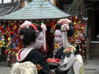 Japan523