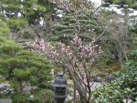 Japan673