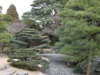 Japan674