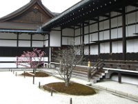 Japan675