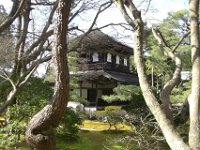 Japan946