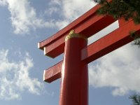 Japan981