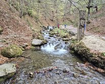 Karpatalja-031