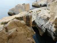 Malta050