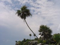 Mexico071