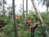 Mexico083
