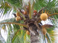 Mexico098