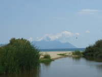 Sarti011