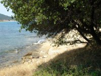 Sarti039