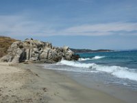 Sarti042
