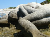 Sarti099