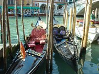Venice208